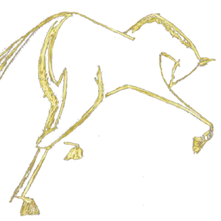 Logo HorseSpirit