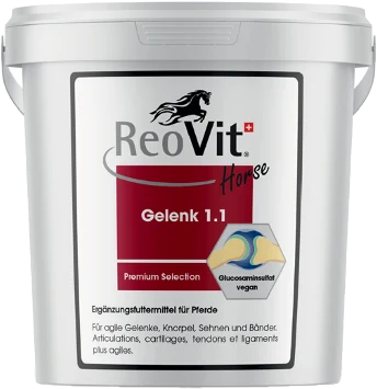 ReoVit®Gelenk 1.1