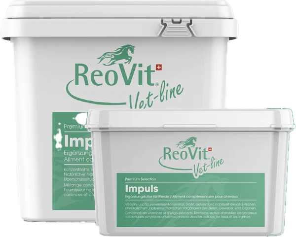 ReoVit® Vet-Line Impuls